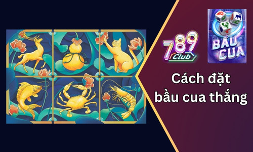 cach dat bau cua thang